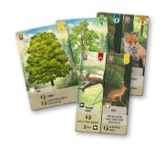 Obrázek Smíšený les + promo Památná lípa