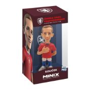 Obrázek MINIX Football: NT Czech Republic - SOUČEK