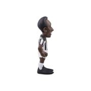 Obrázek MINIX Football Icon: Pelé - Santos