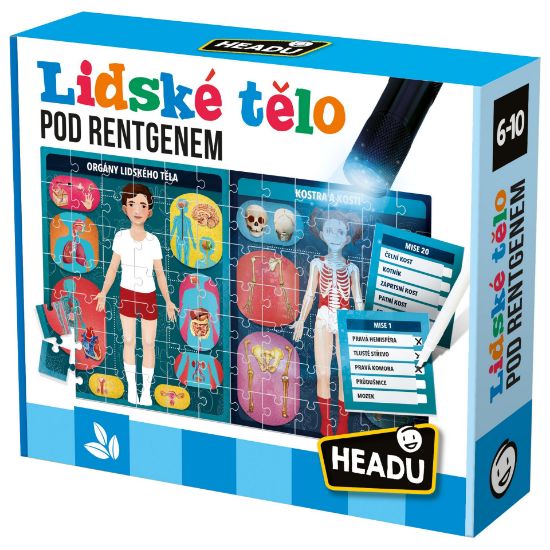 Obrázek HEADU CS: Lidské tělo pod rentgenem