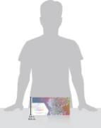 Obrázek Pokémon TCG: SV8.5 Prismatic Evolutions - Super-Premium Collection