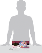 Obrázek Pokémon TCG: Holiday Calendar (2025)