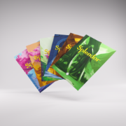 Obrázek Gamegenic: Splendor Art Sleeves