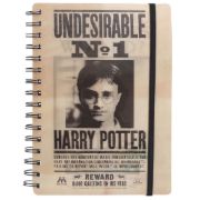 Obrázek Zápisník Harry Potter - Sirius & Harry 3D