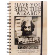 Obrázek Zápisník Harry Potter - Sirius & Harry 3D