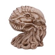 Obrázek Lebka Cthulhu (20 cm)
