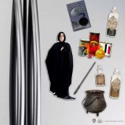 Obrázek Sada magnetek Harry Potter - Severus Snape (8 ks)