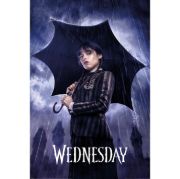 Obrázek Plakát Wednesday - Downpour