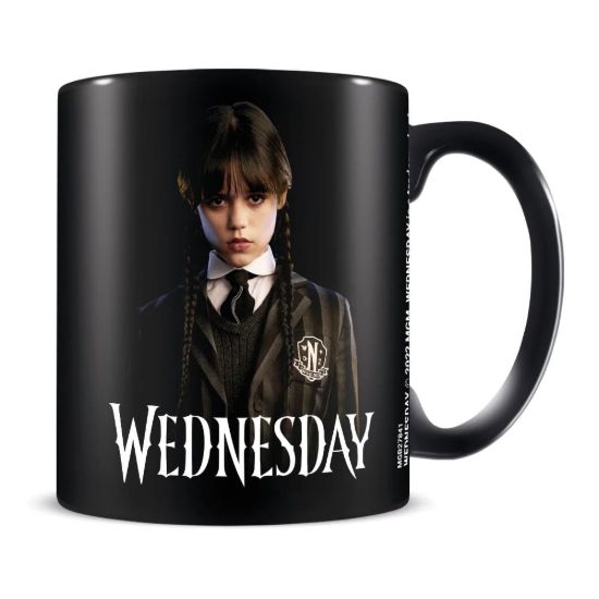 Obrázek Hrnek Wednesday - Friendship
