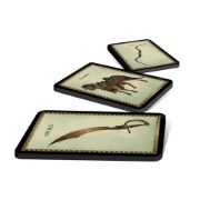 Obrázek Forbidden Lands - The Bloodmarch Map & Cards Pack