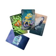 Obrázek Similo: Pod hladinou