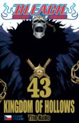 Obrázek Bleach 43: Kingdom of Hollows