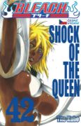 Obrázek Bleach 42: Shock of the Queen