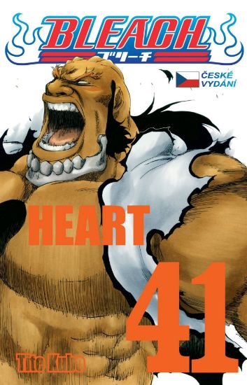 Obrázek Bleach 41: Heart