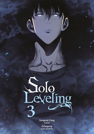 Obrázek Solo Leveling 3