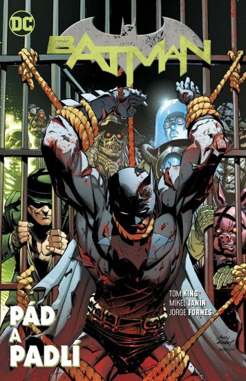 Obrázek Batman 11: Pád a padlí