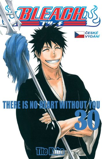 Obrázek Bleach 30 - There Is No Heart With You