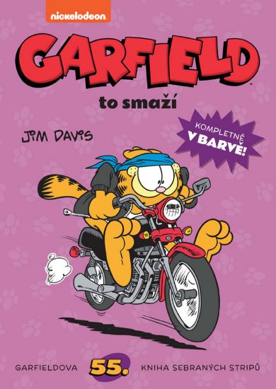 Obrázek Garfield -55- to smaží