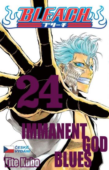 Obrázek Bleach 24 - Immanent God Blues