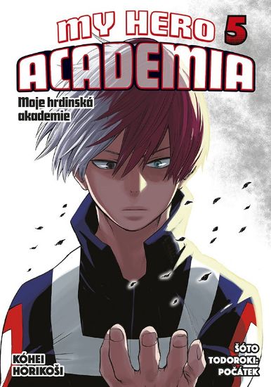Obrázek My Hero Academia 05: Šóto Todoroki: Počátek