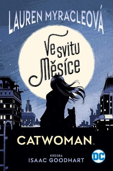 Obrázek Catwoman: Ve svitu Měsíce