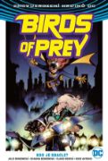 Obrázek Birds of Prey 1: Kdo je Oracle?