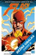 Obrázek Batman/Flash: Odznak