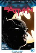 Obrázek Batman 01: Já jsem Gotham V8