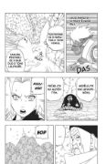 Obrázek Naruto 30: Sakura a Babi Čijo