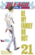 Obrázek Bleach 21 - Be my family or not