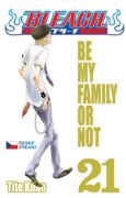 Obrázek Bleach 21 - Be my family or not