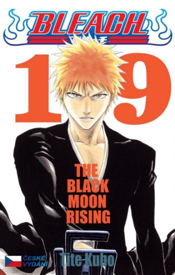 Obrázek Bleach 19 - The Black Moon Rising