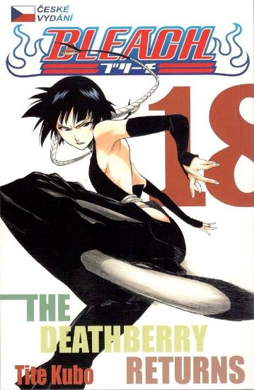 Obrázek Bleach 18 - The Deathberry Return