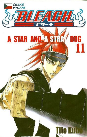 Obrázek Bleach 11 - A Star and a Stray Dog