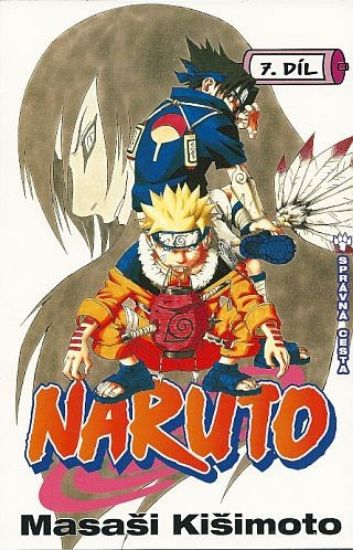 Obrázek Naruto 07: Správná cesta