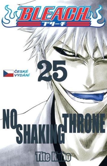 Obrázek Bleach 25 - No Shaking Throne