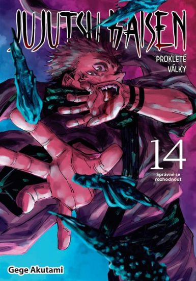 Obrázek Jujutsu Kaisen - Prokleté války 14: Správně se rozhodnout