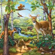 Obrázek Domácí zvířata 3 x 49d