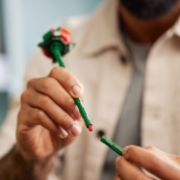 Obrázek Kytice růží