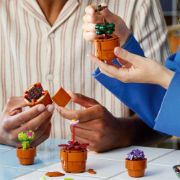 Obrázek Miniaturní rostliny