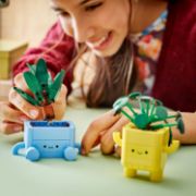 Obrázek Veselé rostlinky