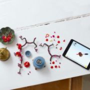 Obrázek Meruňka japonská