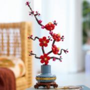 Obrázek Meruňka japonská