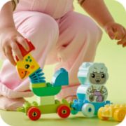 Obrázek Vláček se zvířátky