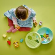 Obrázek Třídění tvarů: Domeček pro štěňátka