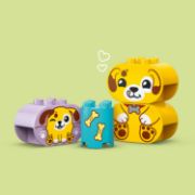 Obrázek Třídění tvarů: Domeček pro štěňátka