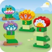 Obrázek Kreativní zahrada a květiny