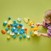 Obrázek 3 v 1: Zvířátka na kolečkách