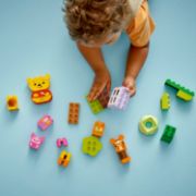 Obrázek Narozeninová oslava Medvídka Pú