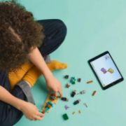 Obrázek Pouštní hlídka zákeřníků